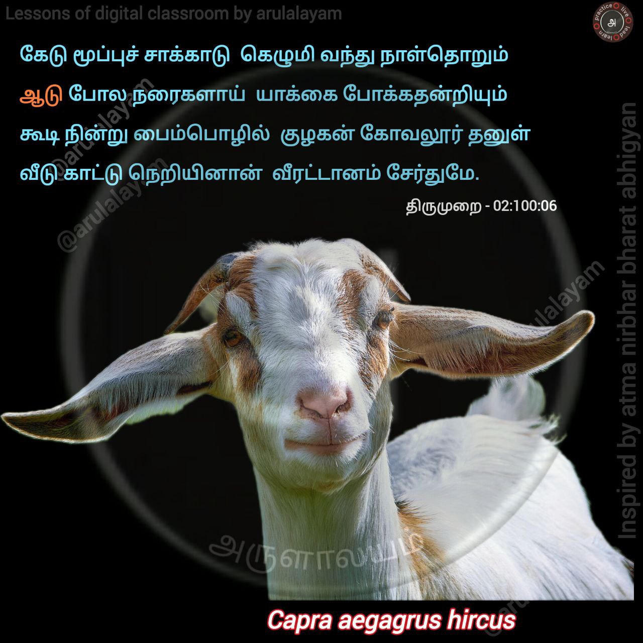 Aadu (film)