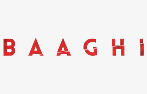 Baaghi (film series)